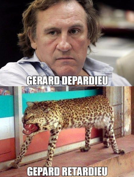 Gerard_Gepard